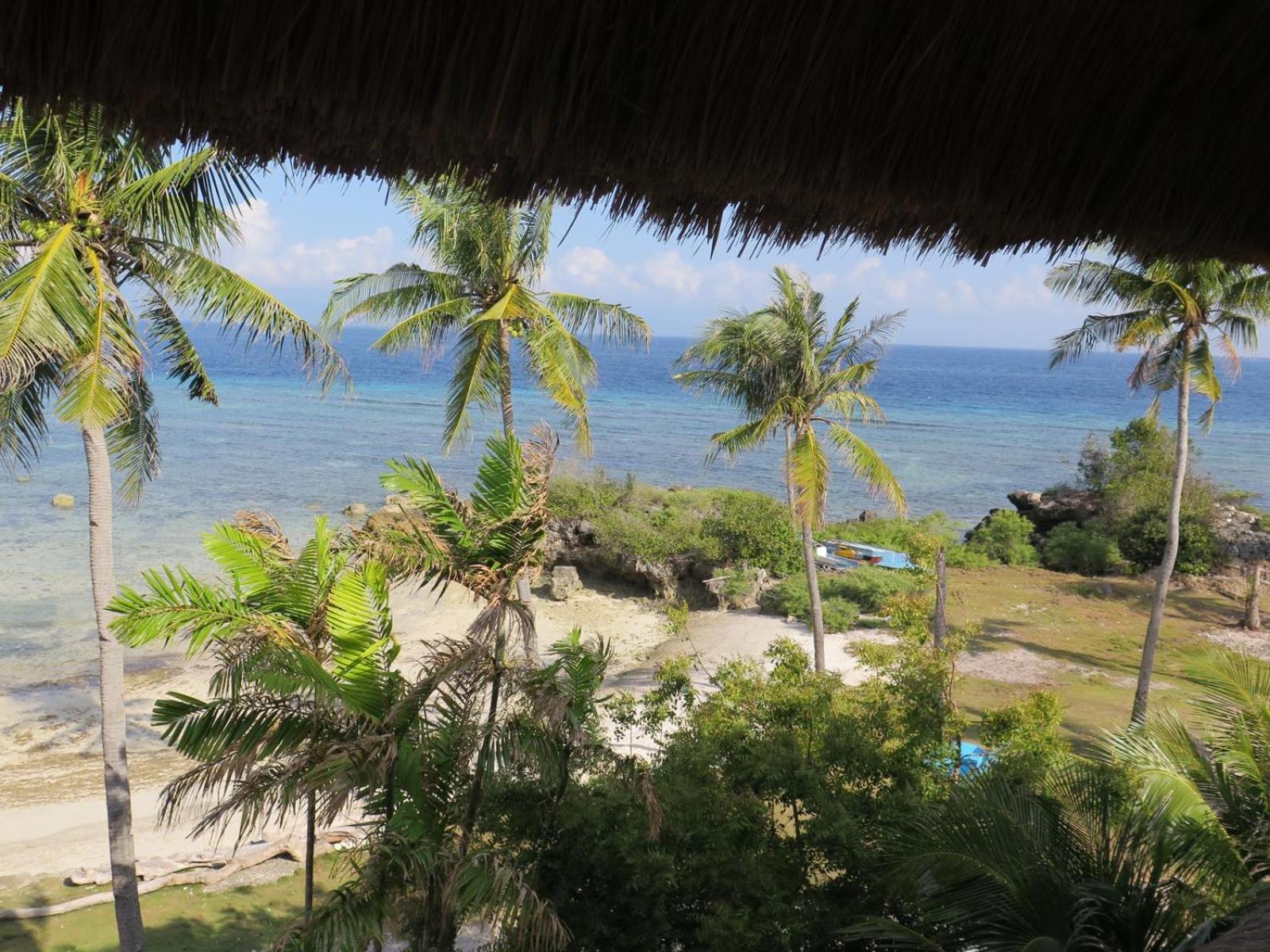 The Wild Orchid Resort - Moalboal Kültér fotó