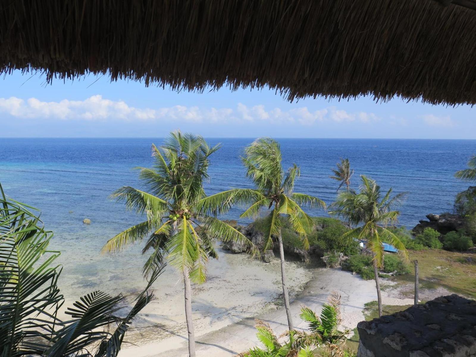 The Wild Orchid Resort - Moalboal Kültér fotó