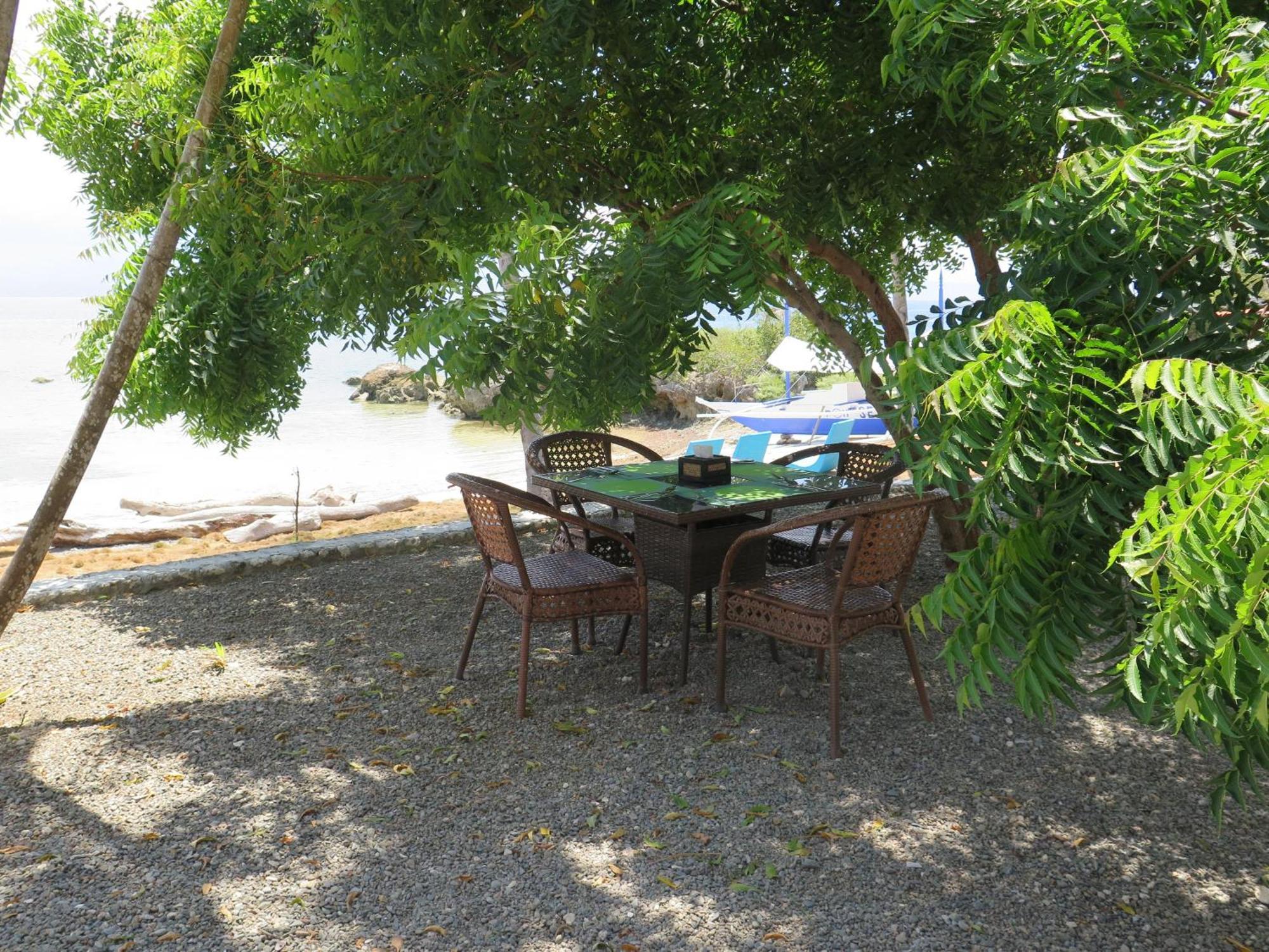 The Wild Orchid Resort - Moalboal Kültér fotó