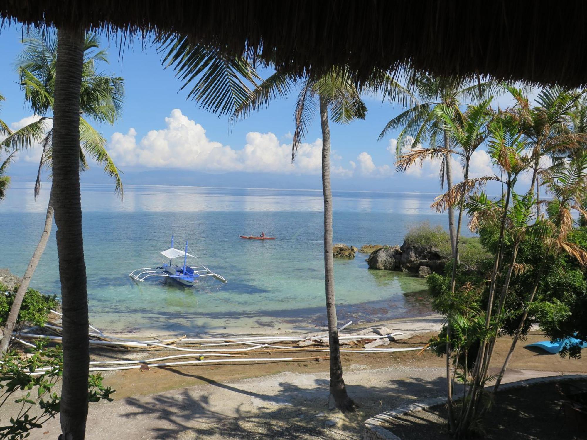 The Wild Orchid Resort - Moalboal Kültér fotó