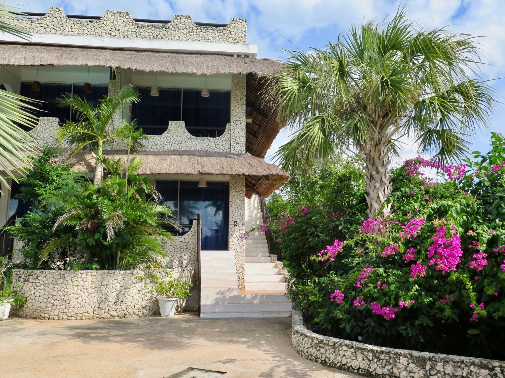 The Wild Orchid Resort - Moalboal Kültér fotó