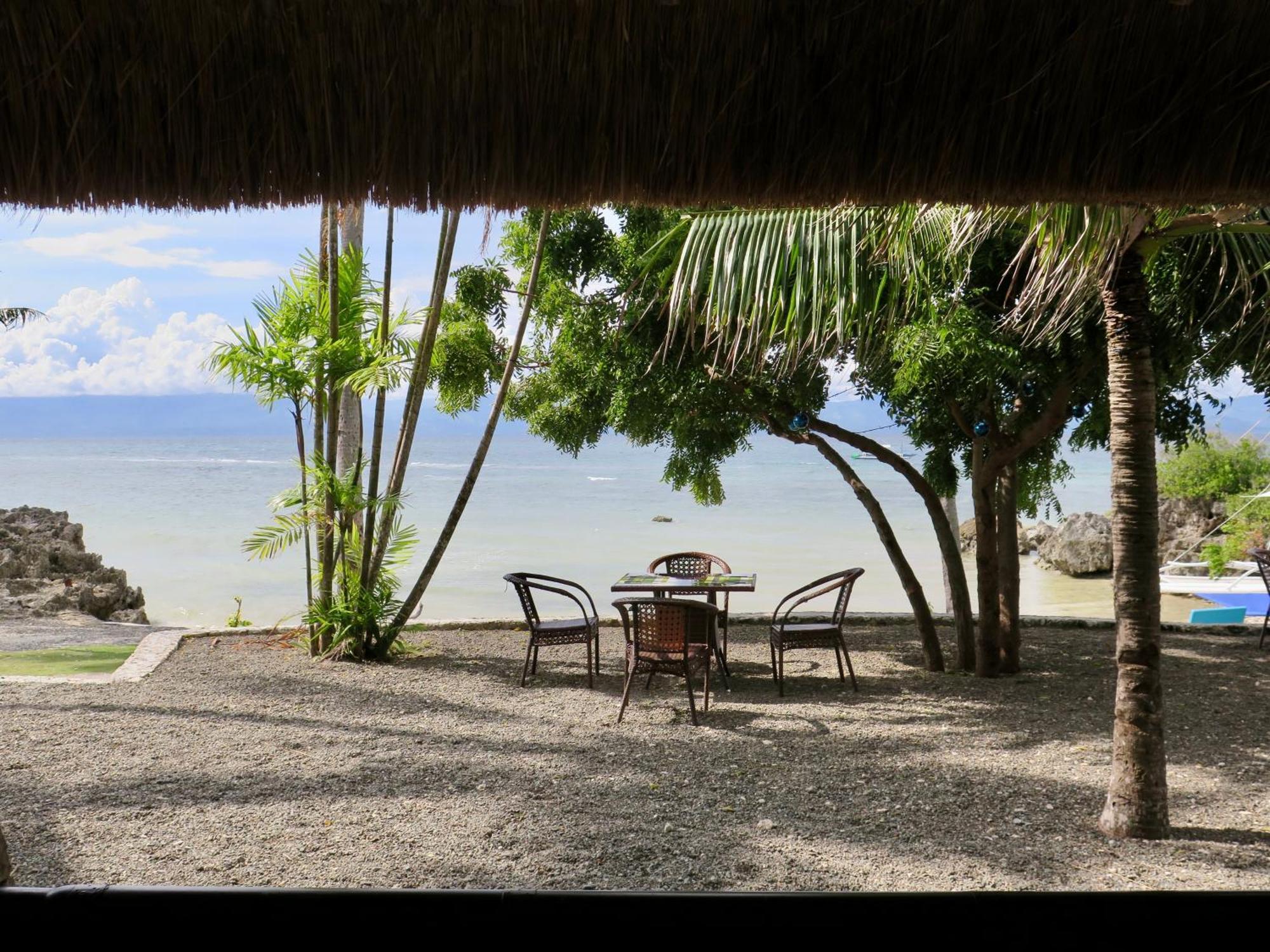 The Wild Orchid Resort - Moalboal Kültér fotó