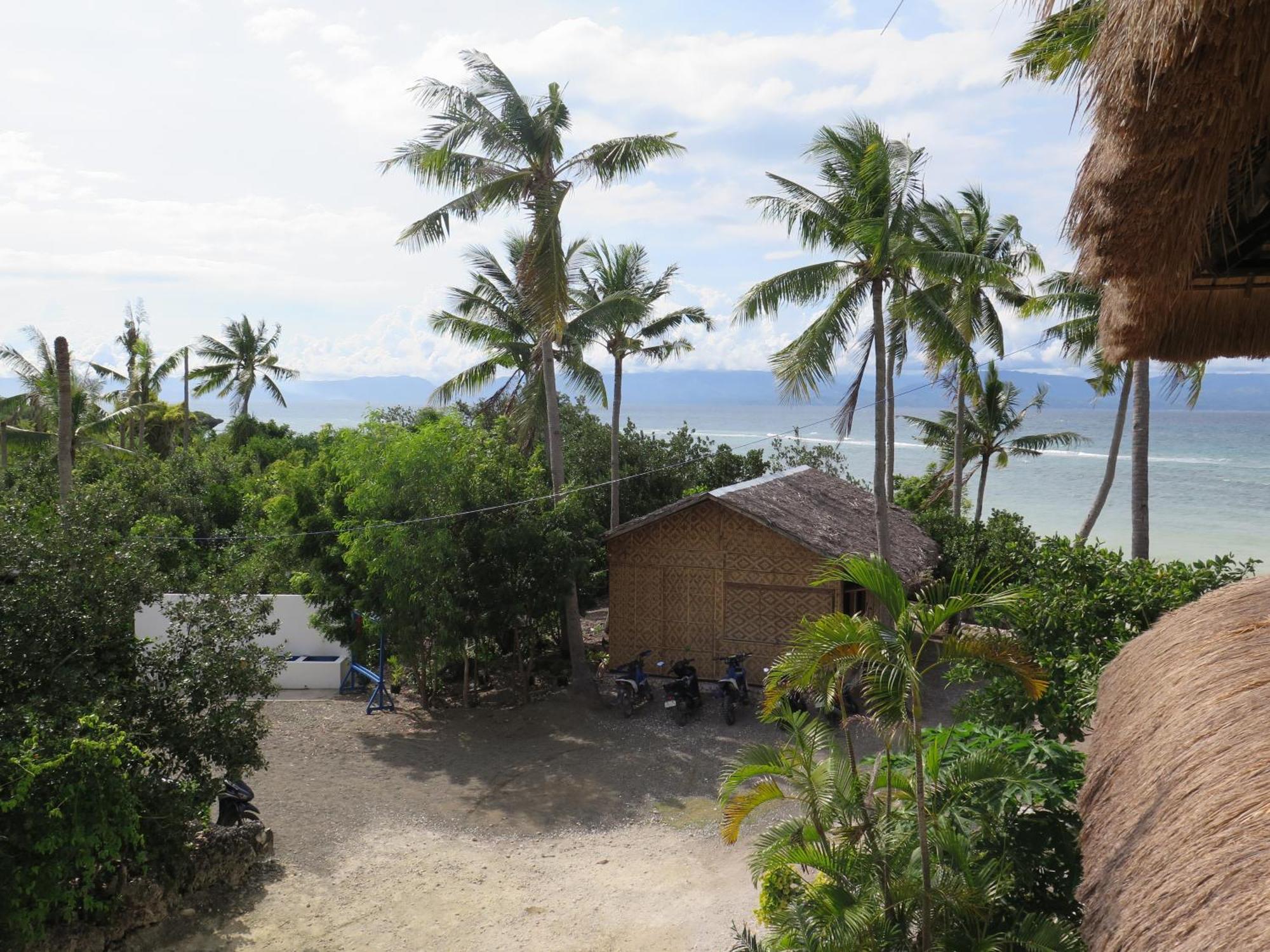The Wild Orchid Resort - Moalboal Kültér fotó