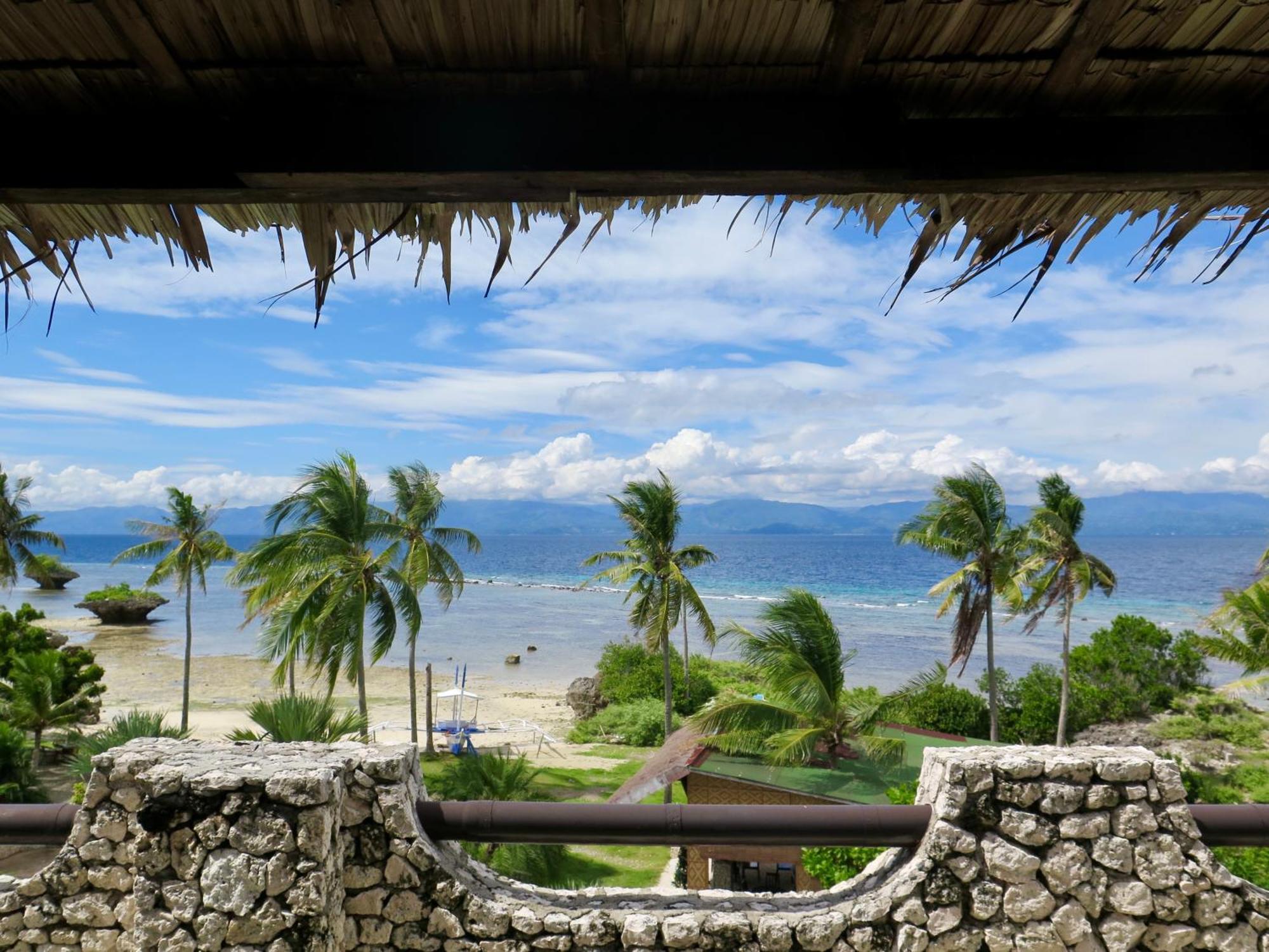 The Wild Orchid Resort - Moalboal Kültér fotó