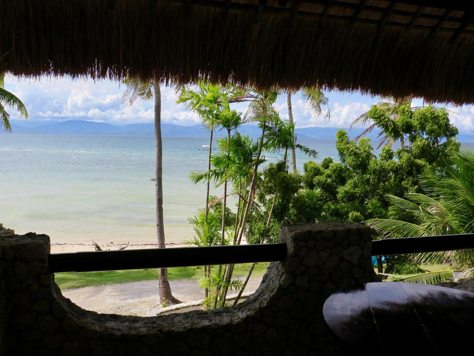 The Wild Orchid Resort - Moalboal Kültér fotó